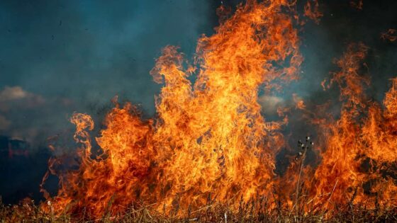 Kępno Strażacy odpowiedzą za celowe podpalenie słomy