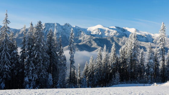 Pierwszy śnieg w Tatrach