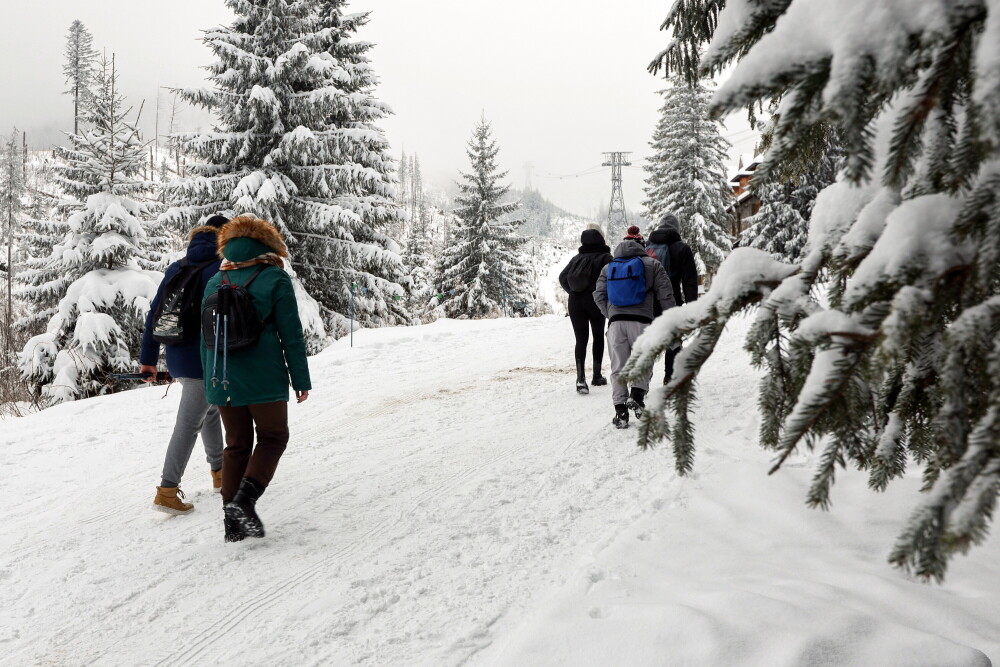 ferie zimowe Zakopane 2025