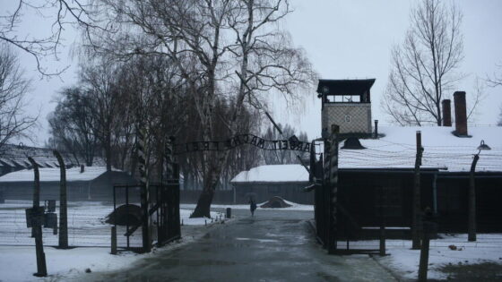 Auschwitz, 80. rocznica wyzwolenia