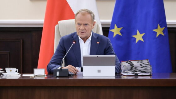 czasowa kontrola graniczna