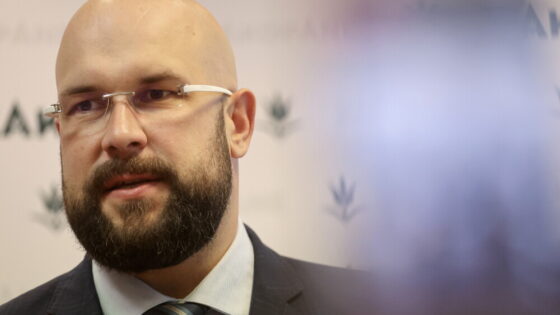 Nietypowa petycja u burmistrza Zakopanego: „robokonie” i „robomisie” na Krupówki