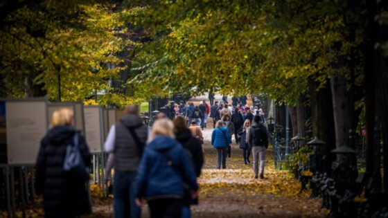 dlaczego rośnie liczba mieszkańców Krakowa