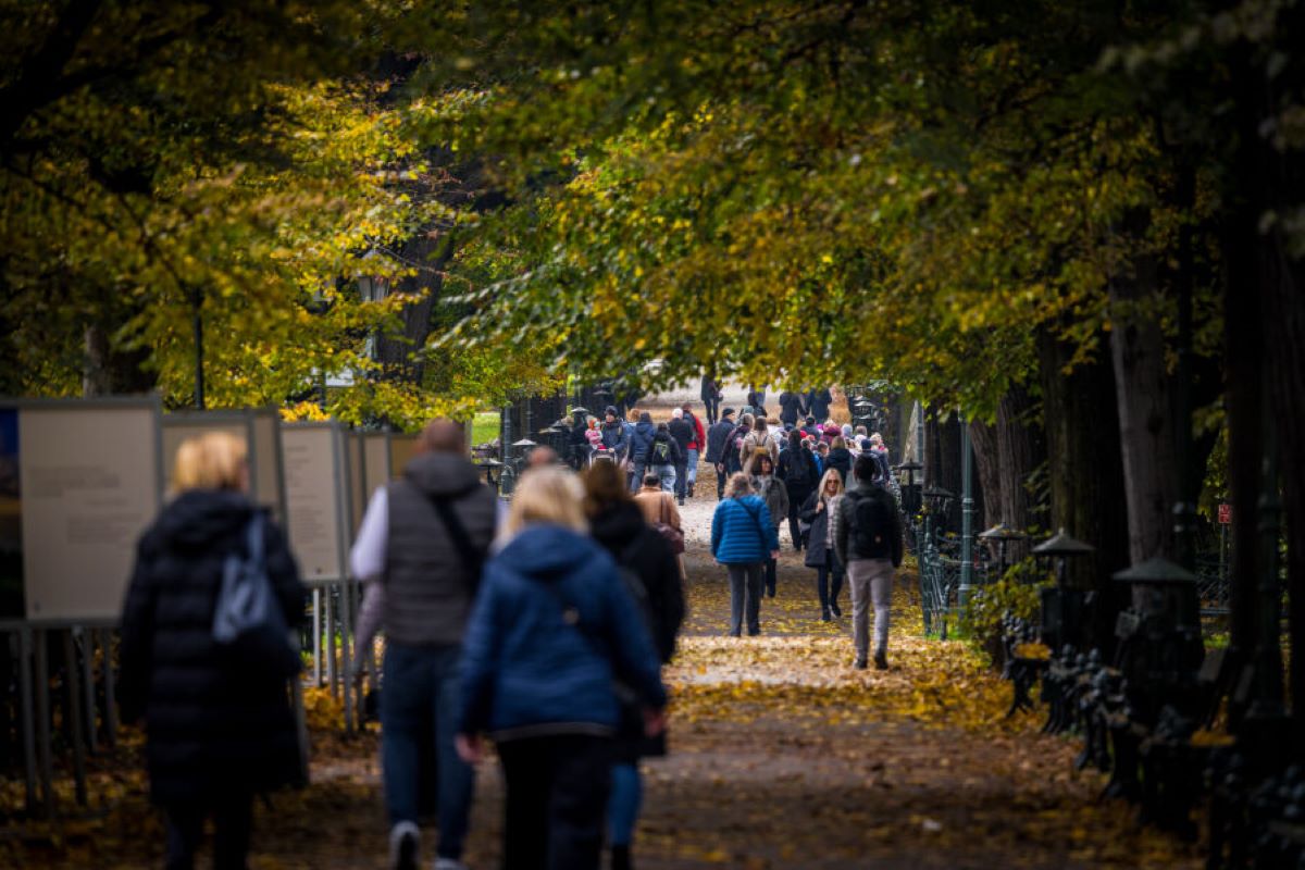 dlaczego rośnie liczba mieszkańców Krakowa